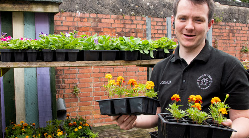 working in the garden centre